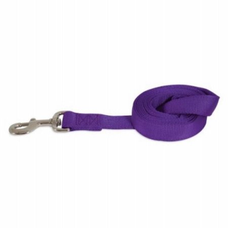 PERFECTPET 0.37 in. x 6 ft. Dog Leash, Purple PE1672805